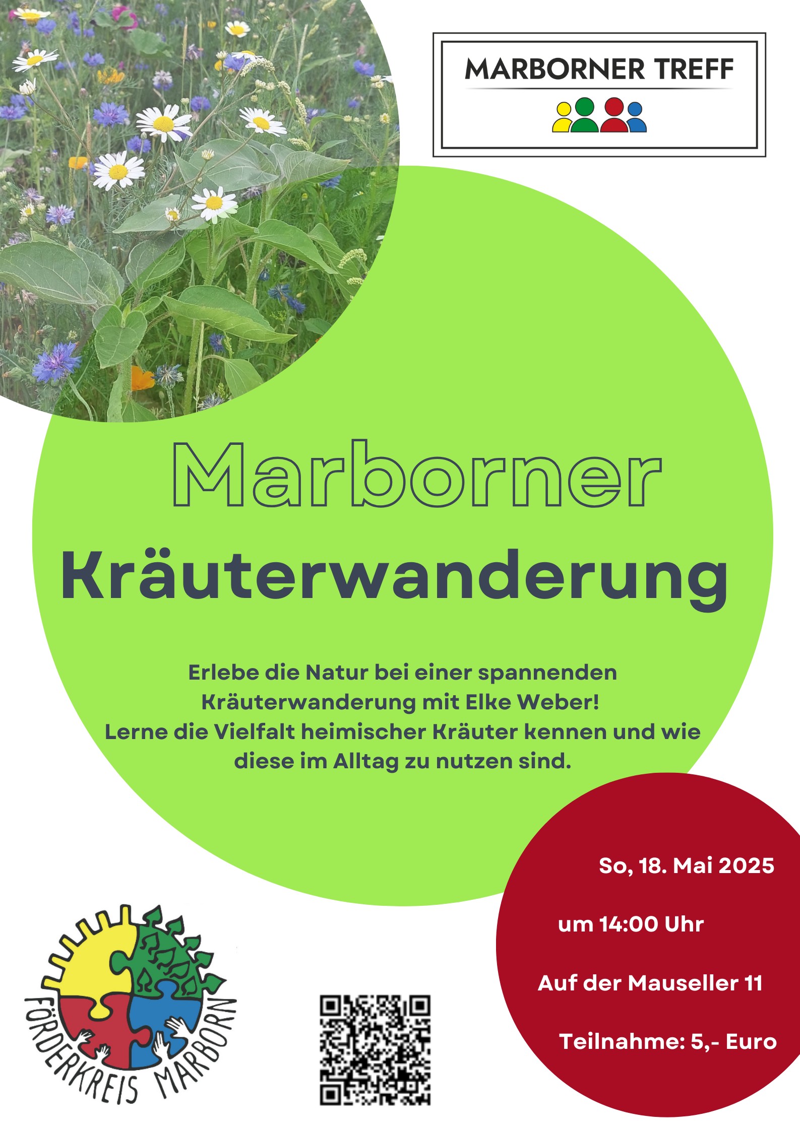 2025 05 18 Plakat Kräuterwanderung